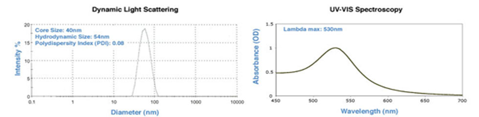40nm_Standard_Gold_Nanoparticles