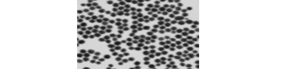  60nm_Biotin_Gold_Nanoparticles
