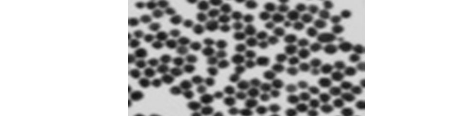 60nm_Carboxyl_Gold_Nanoparticles_3kDa_PEG_linker