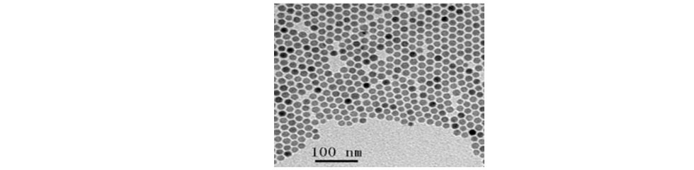  5nm_Biotin_Gold_Nanoparticles
