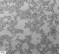 Silver Nanoparticles